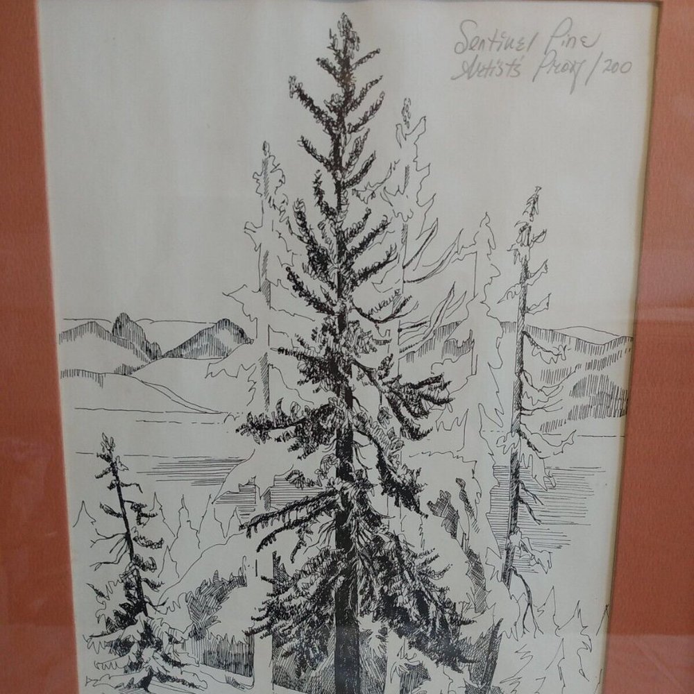 Pan Eimon Artist Proof Sentinel Pine